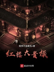 [红楼梦同人]红楼大贵族